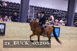 21_BUCK_03206 proof