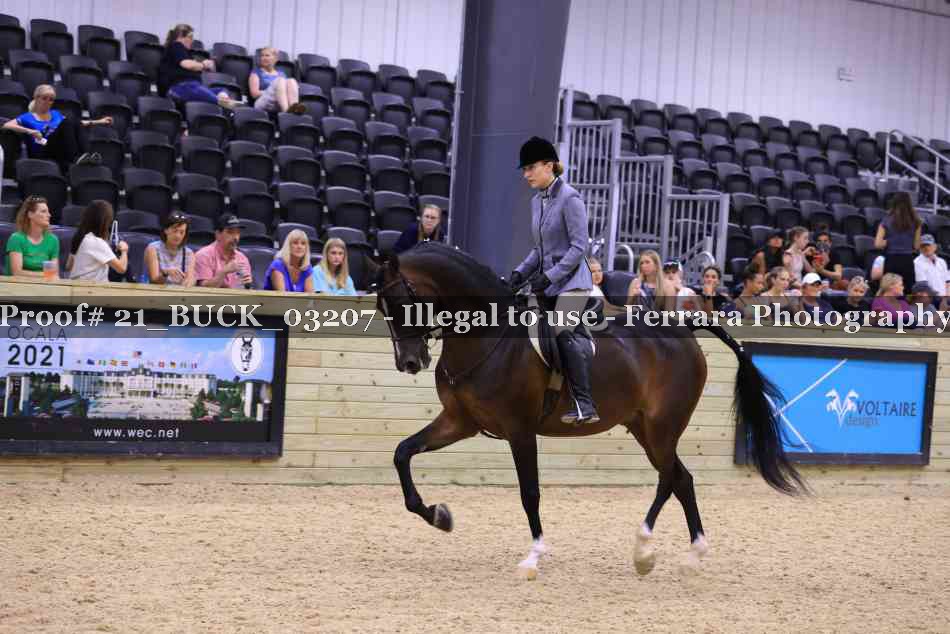 Proof 21_BUCK_03207