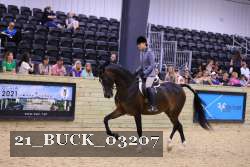 21_BUCK_03207 proof