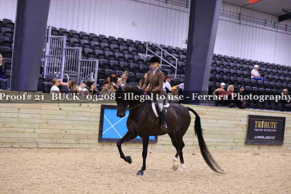 Proof 21_BUCK_03208