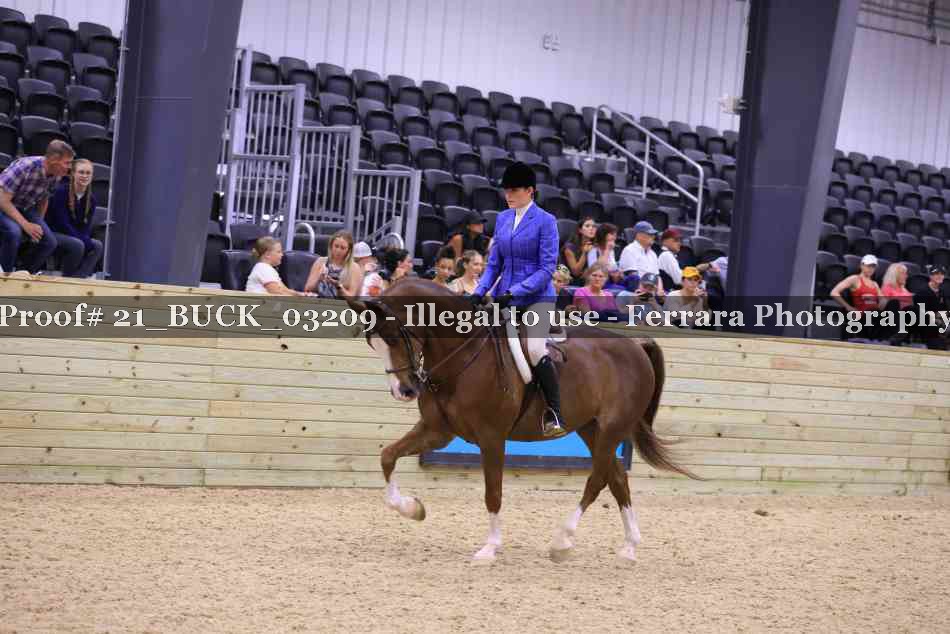Proof 21_BUCK_03209