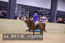 21_BUCK_03209 proof