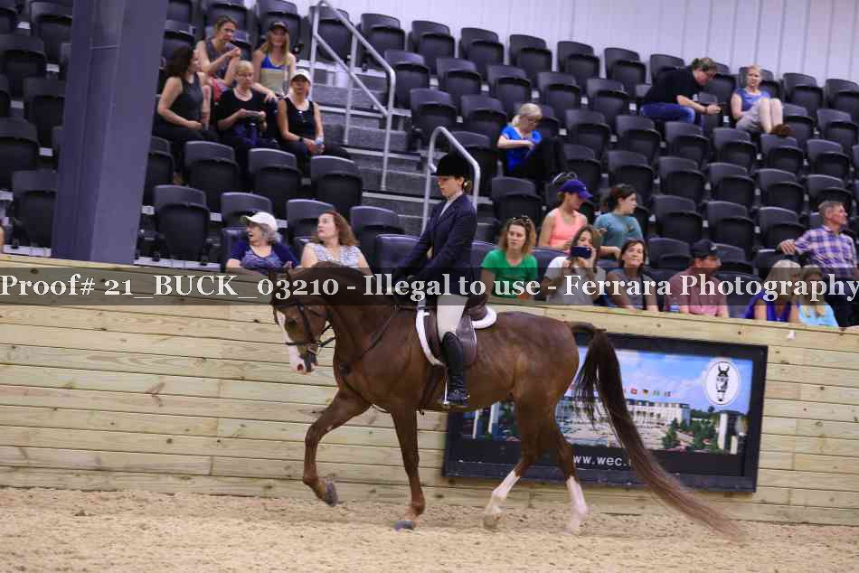 Proof 21_BUCK_03210