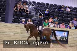 21_BUCK_03210 proof