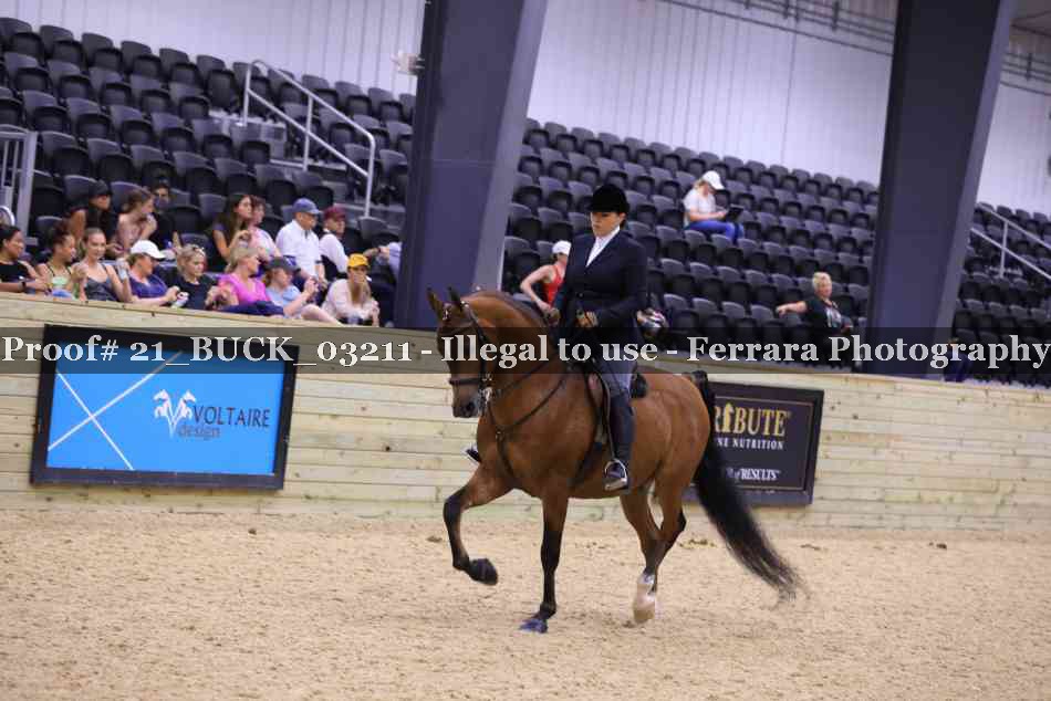 Proof 21_BUCK_03211