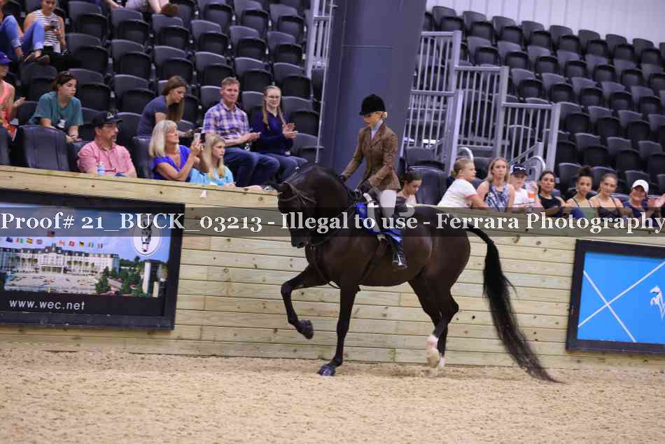 Proof 21_BUCK_03213