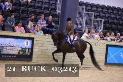 21_BUCK_03213 proof