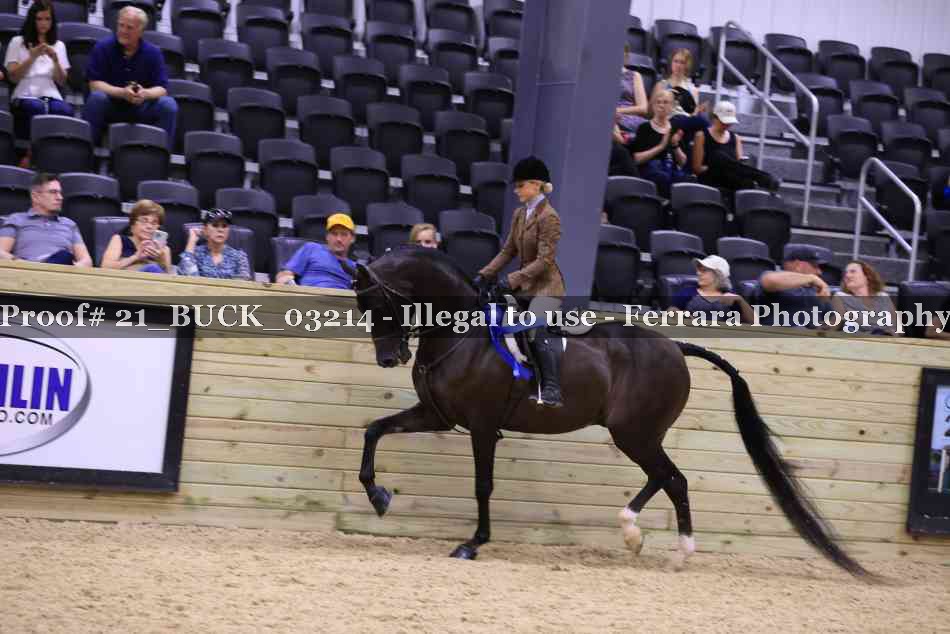 Proof 21_BUCK_03214