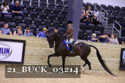 21_BUCK_03214 proof