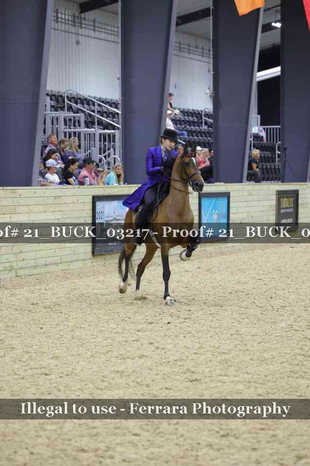 Proof 21_BUCK_03217