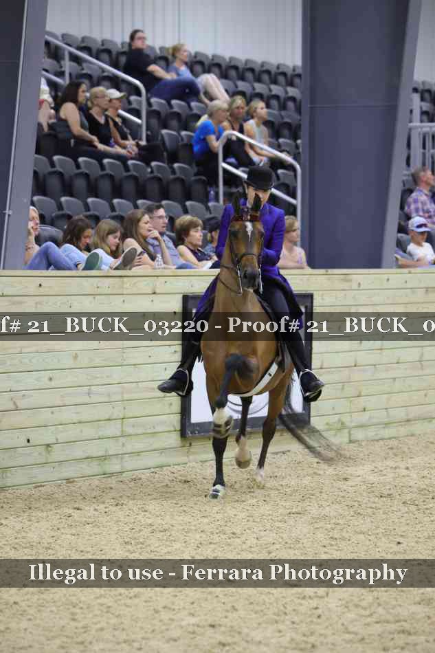 Proof 21_BUCK_03220