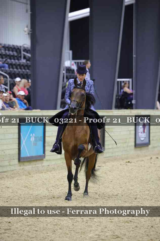 Proof 21_BUCK_03221