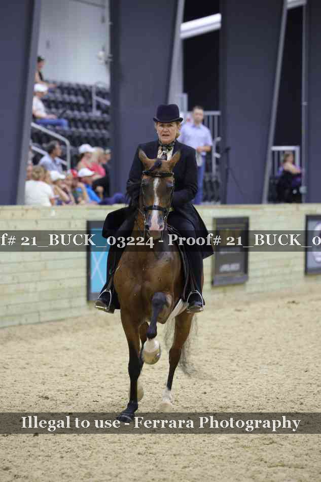 Proof 21_BUCK_03224