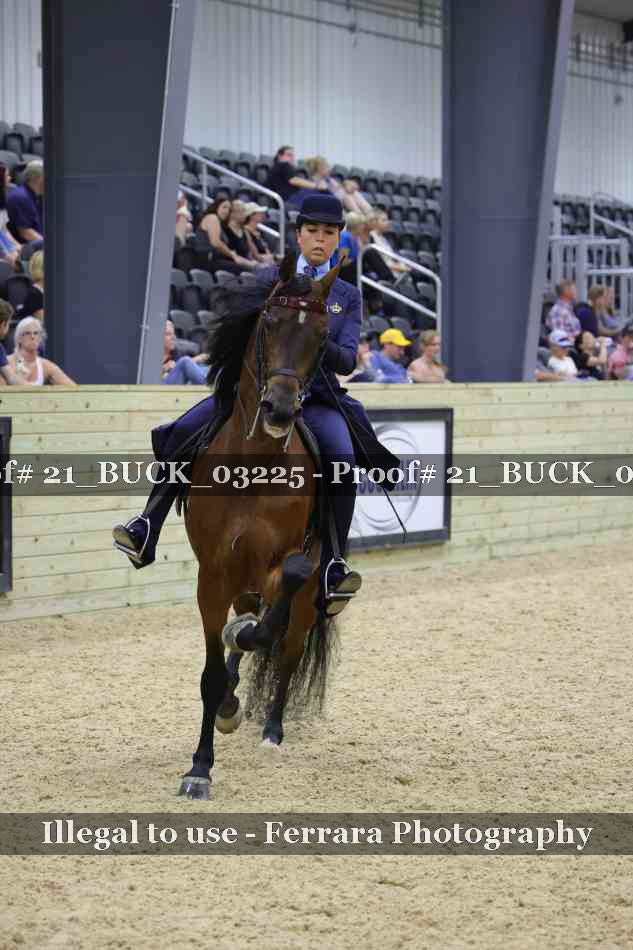 Proof 21_BUCK_03225