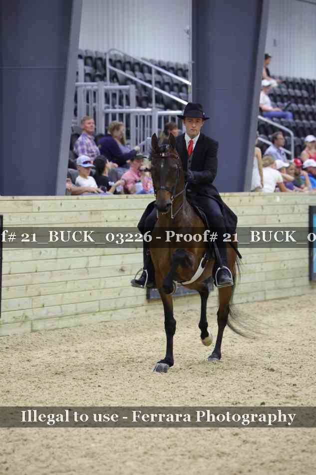 Proof 21_BUCK_03226