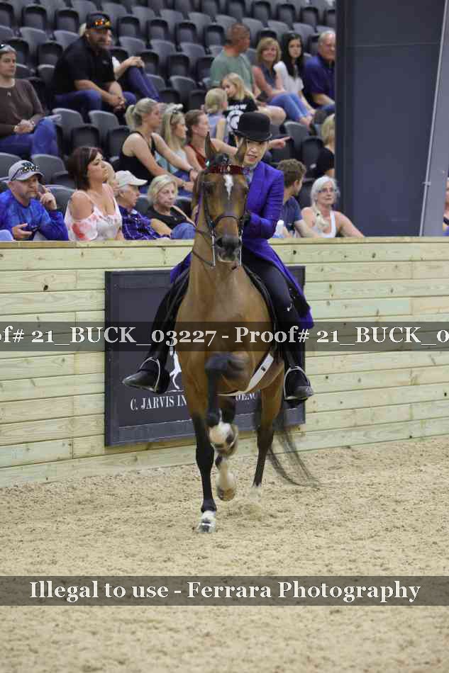 Proof 21_BUCK_03227
