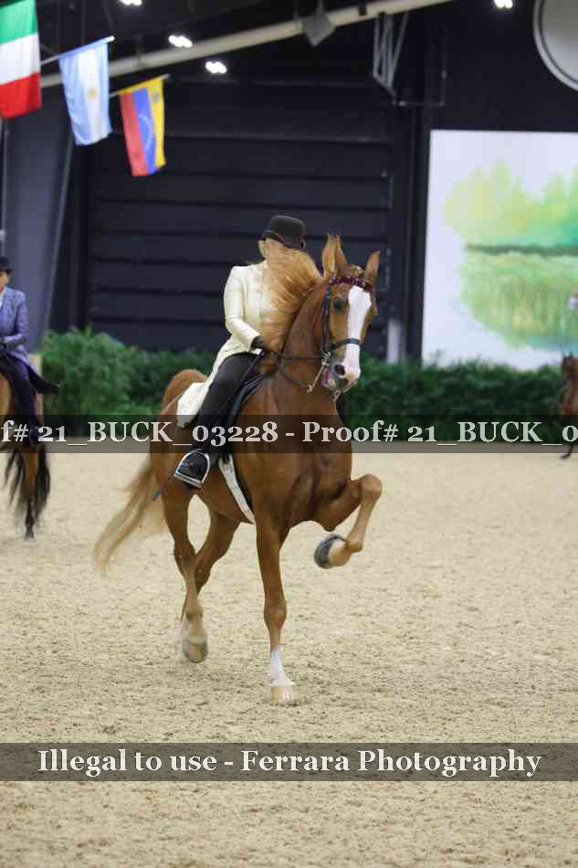 Proof 21_BUCK_03228