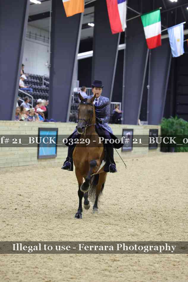 Proof 21_BUCK_03229