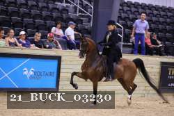 21_BUCK_03230 proof