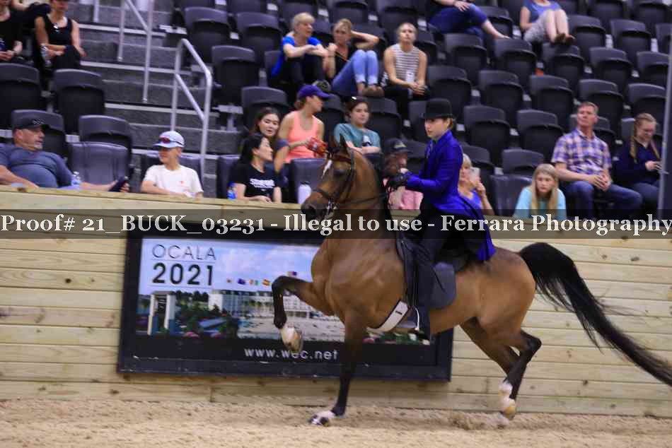 Proof 21_BUCK_03231