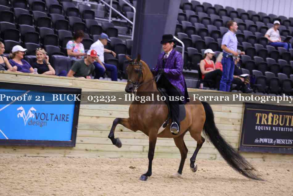 Proof 21_BUCK_03232