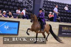 21_BUCK_03232 proof