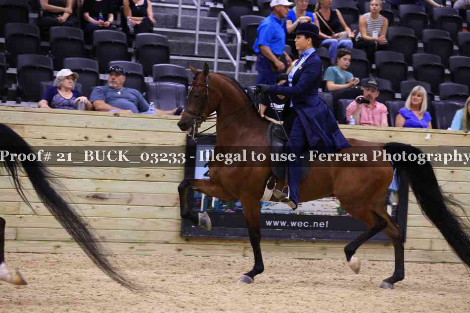 Proof 21_BUCK_03233