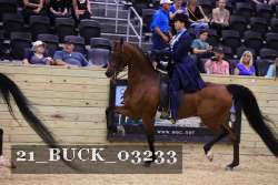 21_BUCK_03233 proof