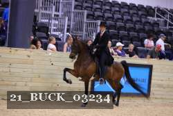21_BUCK_03234 proof