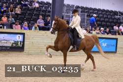 21_BUCK_03235 proof