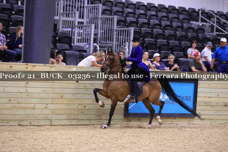 Proof 21_BUCK_03236