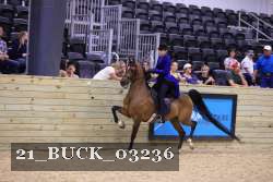 21_BUCK_03236 proof