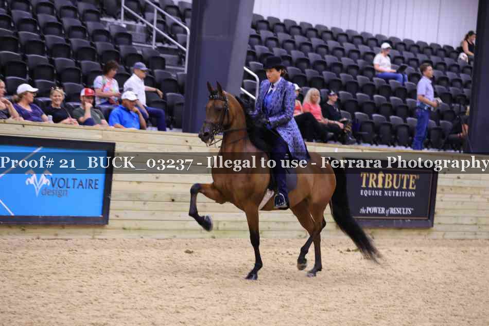 Proof 21_BUCK_03237