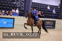 21_BUCK_03237 proof