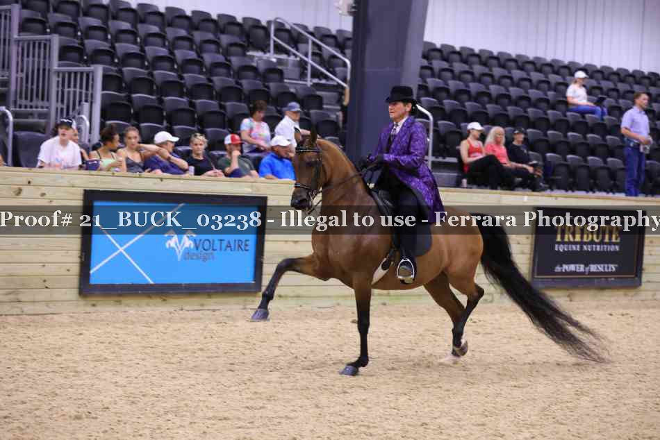 Proof 21_BUCK_03238