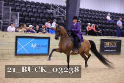 21_BUCK_03238 proof