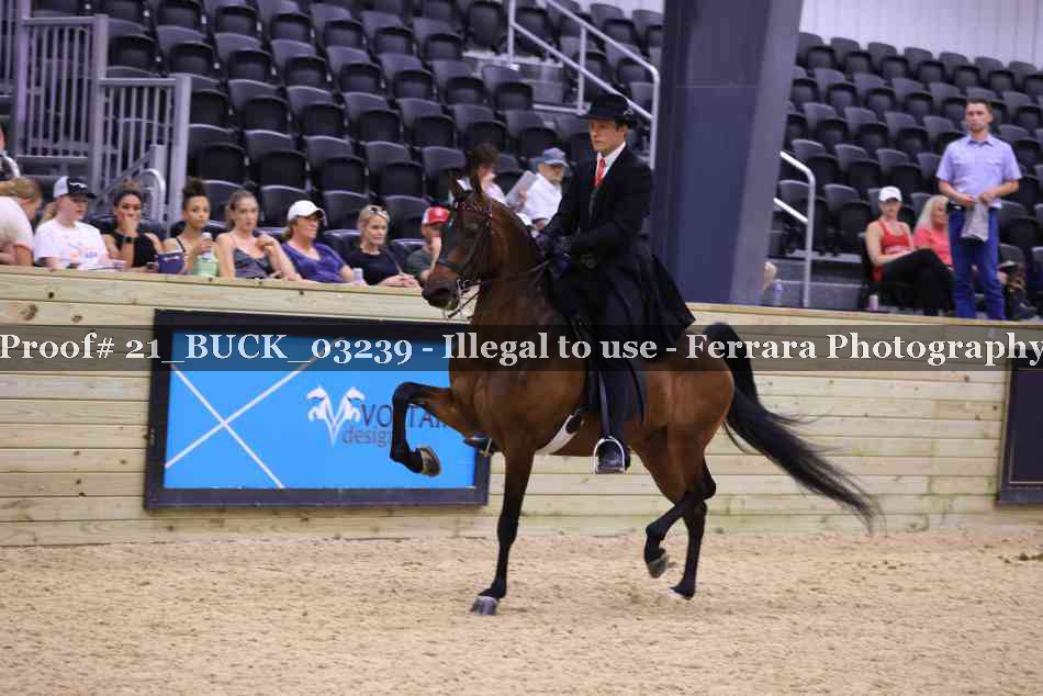 Proof 21_BUCK_03239