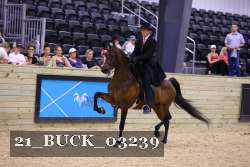21_BUCK_03239 proof