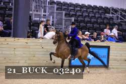 21_BUCK_03240 proof