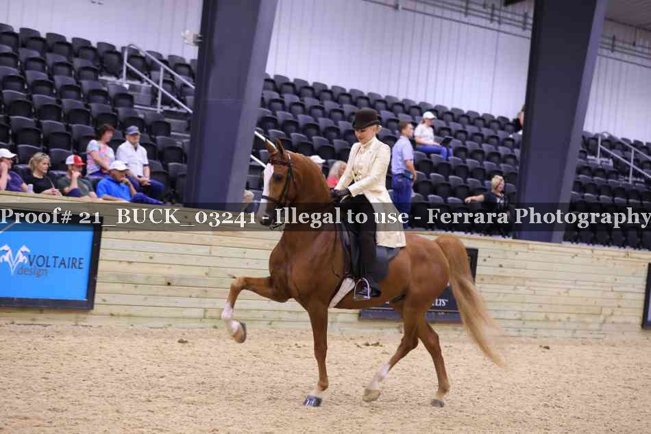 Proof 21_BUCK_03241
