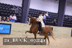 21_BUCK_03241 proof