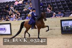 21_BUCK_03242 proof