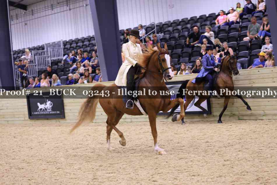 Proof 21_BUCK_03243