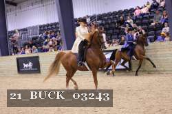 21_BUCK_03243 proof