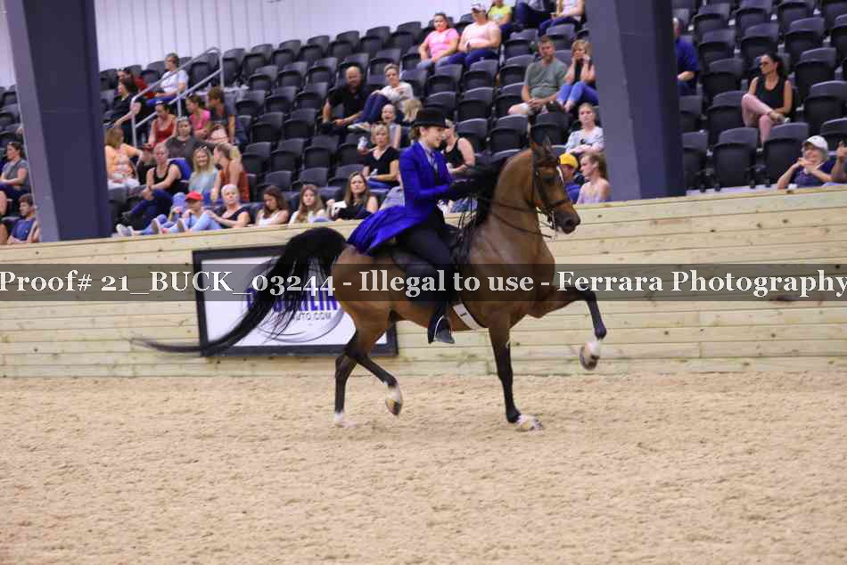 Proof 21_BUCK_03244