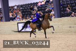 21_BUCK_03244 proof