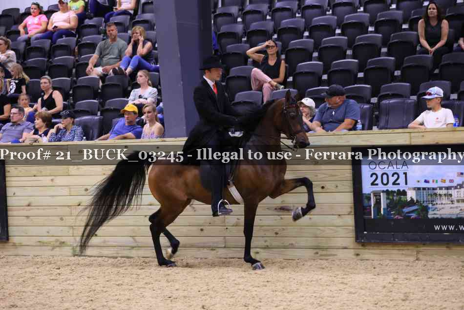 Proof 21_BUCK_03245