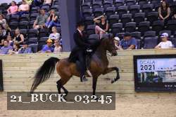 21_BUCK_03245 proof