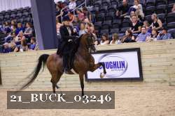 21_BUCK_03246 proof