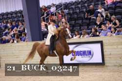 21_BUCK_03247 proof
